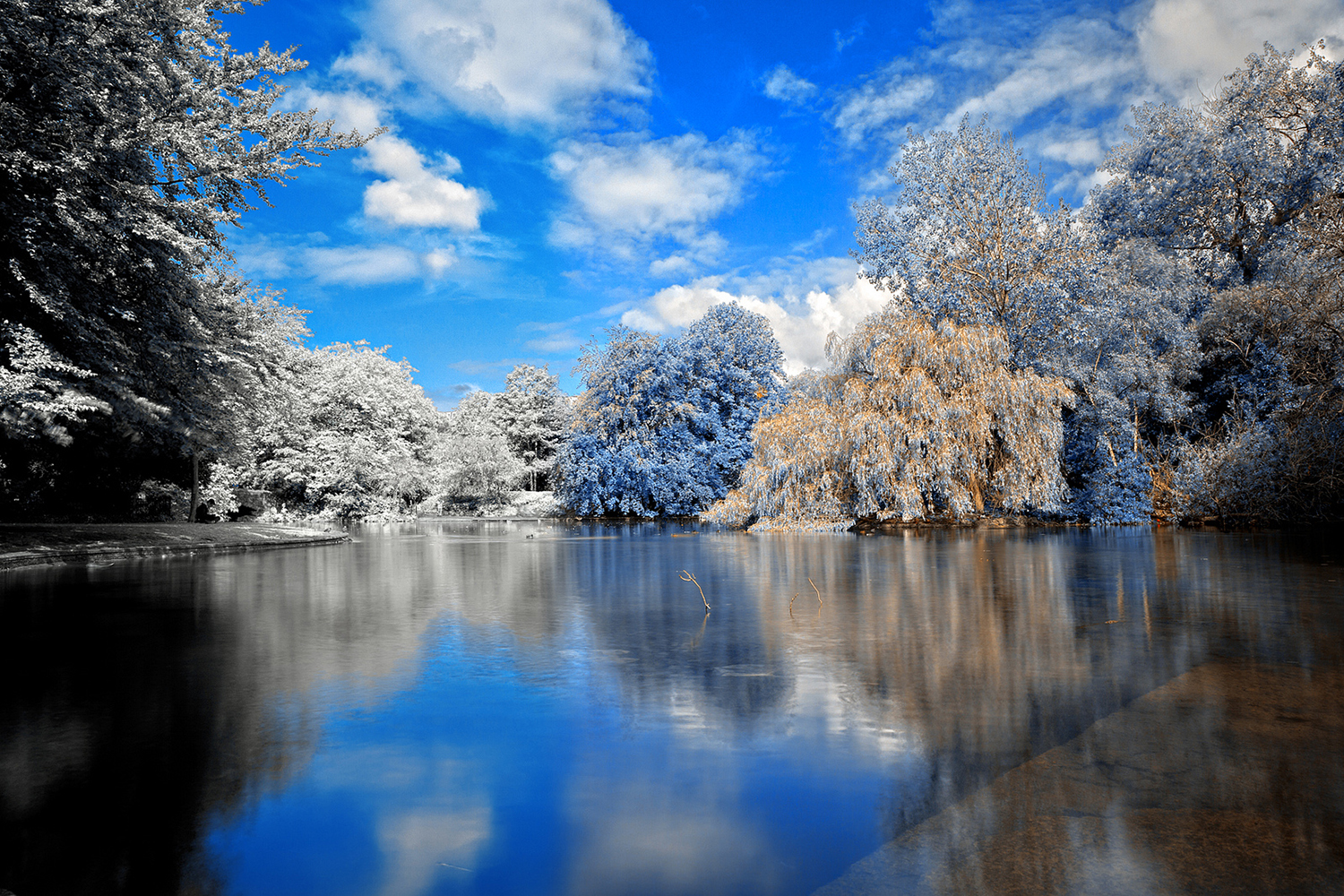 Featured Photography