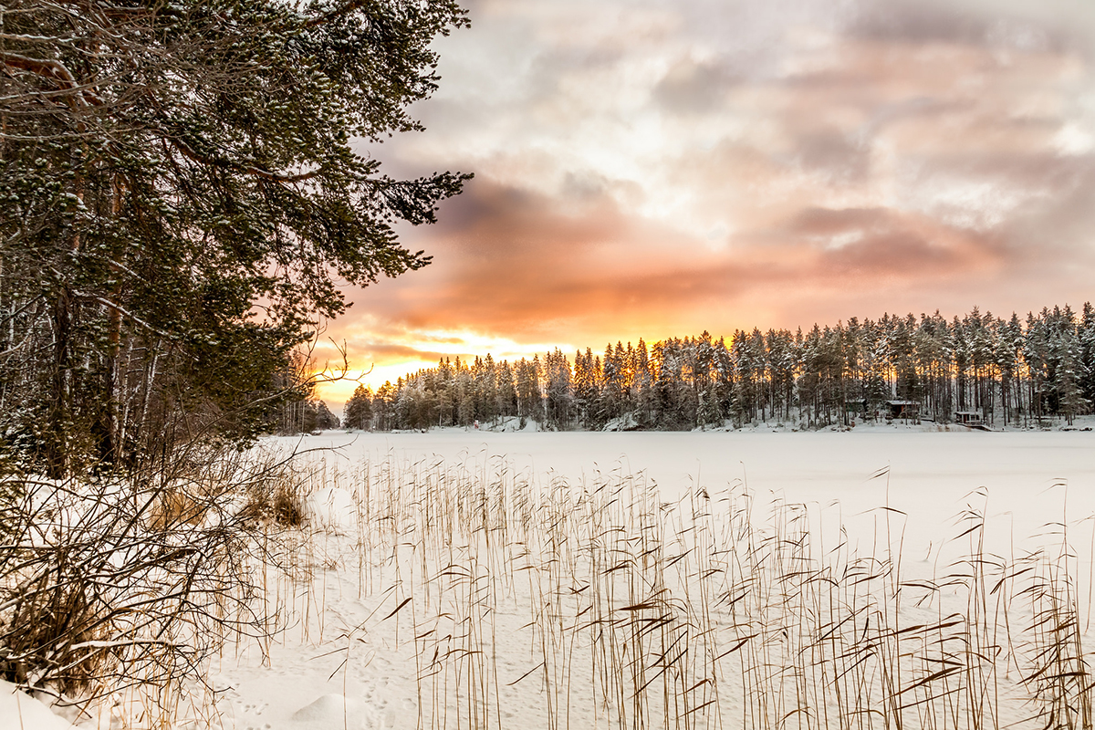 Event Photography Example